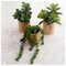 Set of 3 Mini Artificial Succulents in Pots – Realistic Faux Small Potted Plants for Aesthetic Room Decor, Office Desk, Bathroom & Bookshelf Modern Home Accents